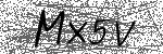 image code
